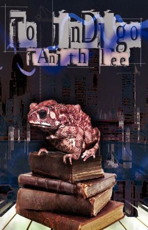 to indigo cover